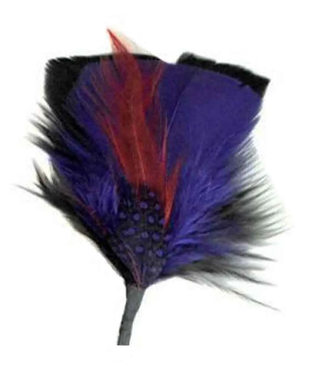 C Side Feathers for Hats & Fedoras, FQH - FINAL SALE