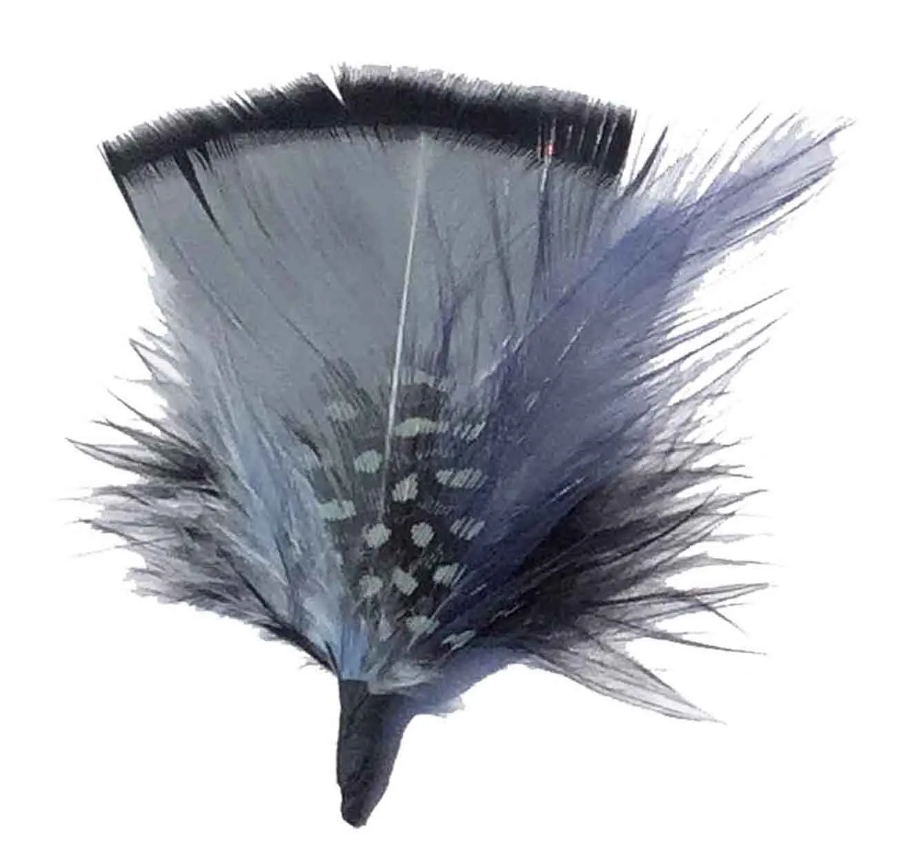 C Side Feathers for Hats & Fedoras, FQH - FINAL SALE