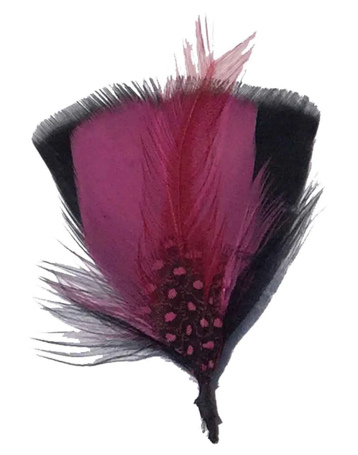 C Side Feathers for Hats & Fedoras, FQH - FINAL SALE