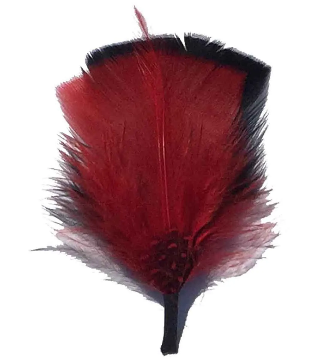 C Side Feathers for Hats & Fedoras, FQH - FINAL SALE