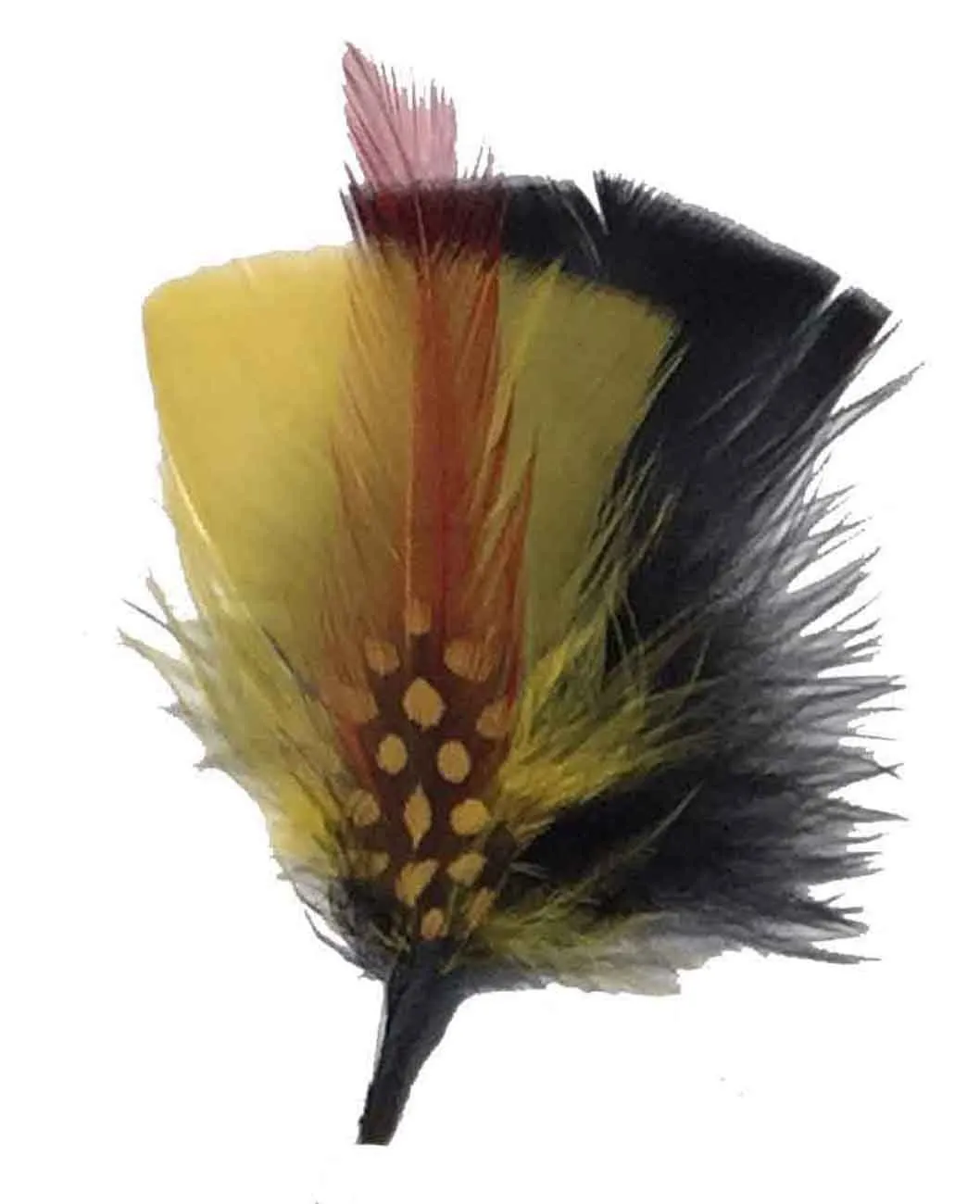 C Side Feathers for Hats & Fedoras, FQH - FINAL SALE