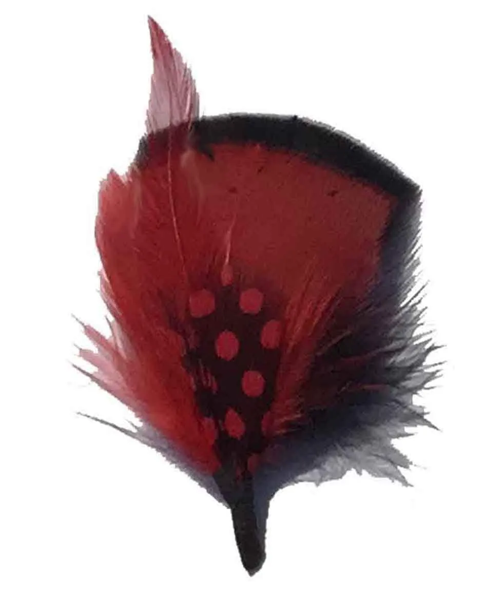 C Side Feathers for Hats & Fedoras, FQH - FINAL SALE