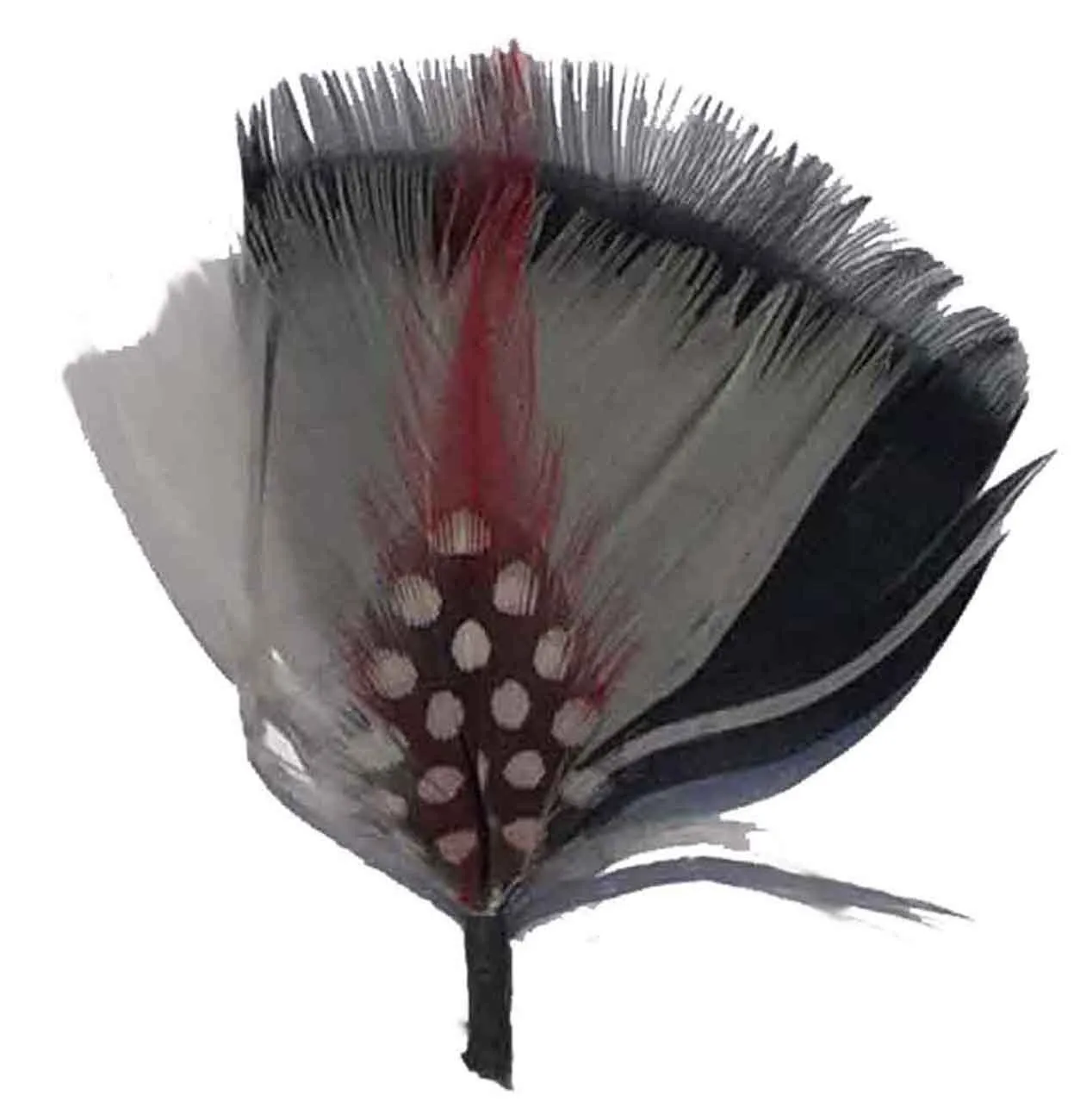 C Side Feathers for Hats & Fedoras, FQH - FINAL SALE